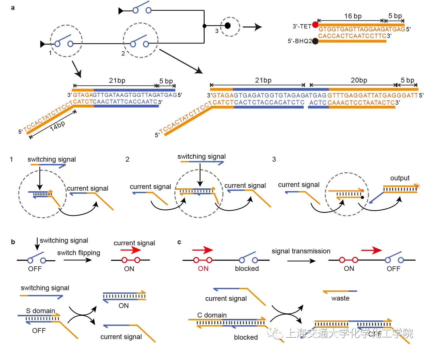 1634869939398307.jpg 001.jpg