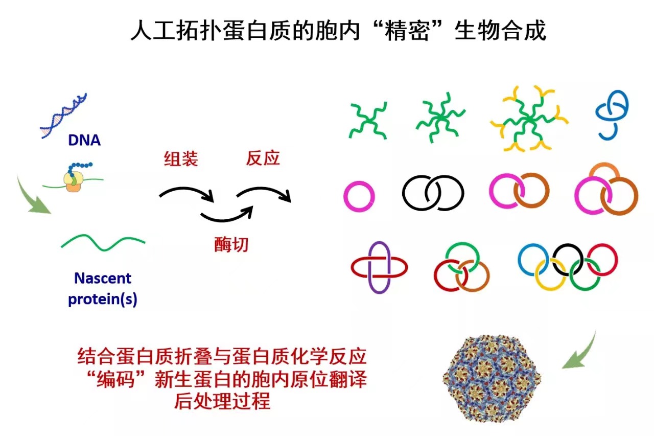 1634871956106090.jpg 人物2.jpg