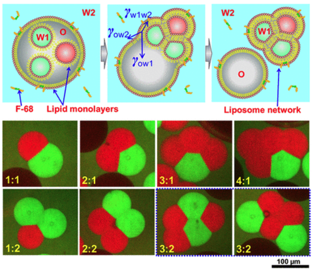 1644378923458374.png 1644378923458374.png