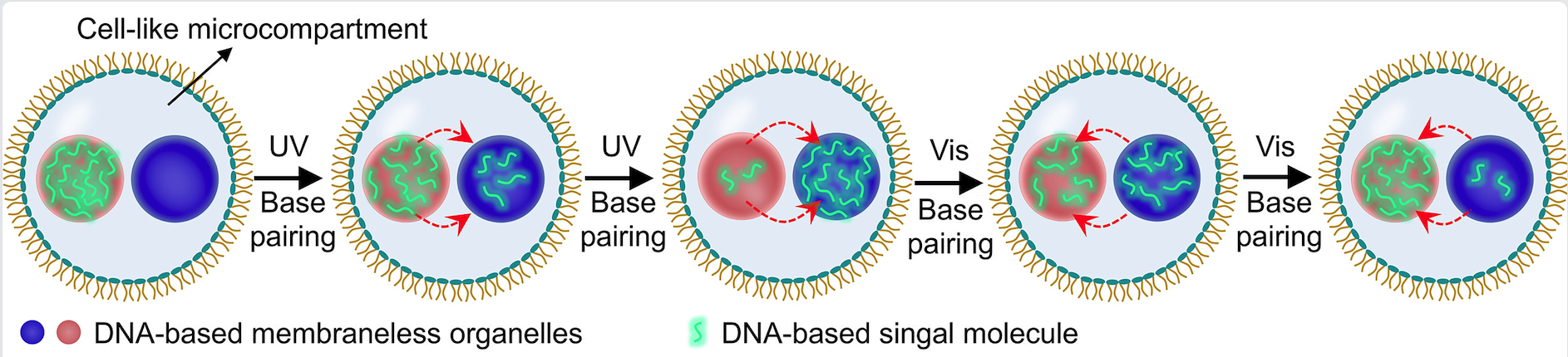 1644379270210726.png 1644379270210726.png