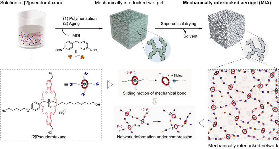 1655536728568019.png 2.png