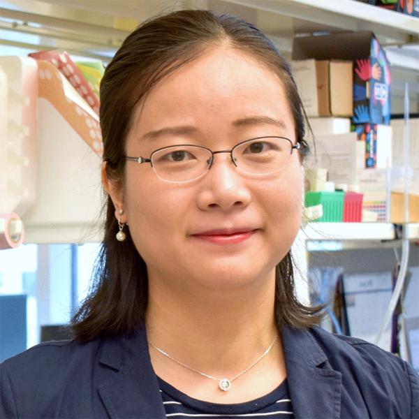 1699402932103547.png 1699402932103547.png