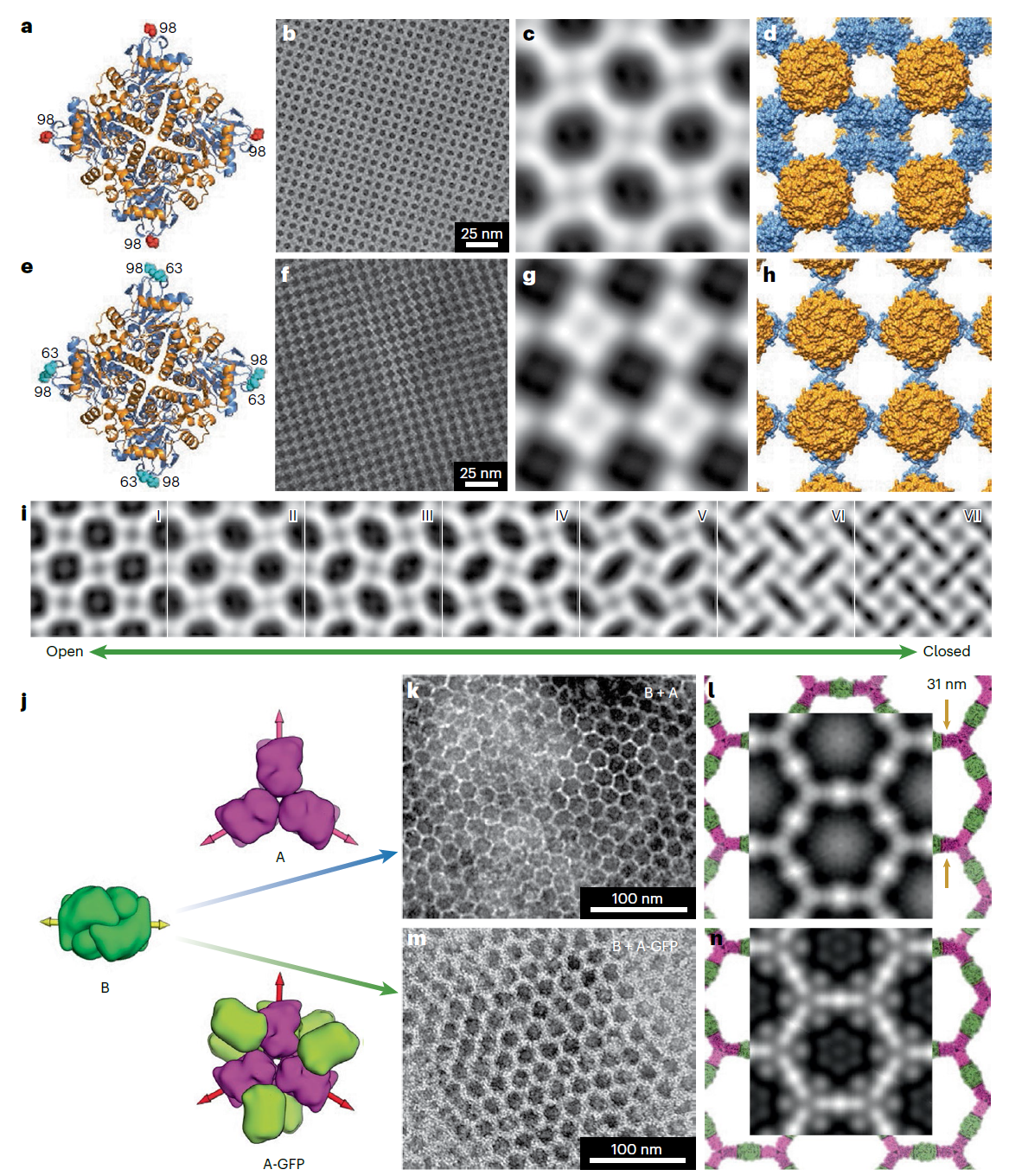 1724291297319652.bmp 图1.bmp